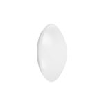 Ledvance Surface Circolare 250 13W 830 920lm Bianca IP44 | Luce Calda