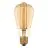 Ledvance Vintage 1906 LED E27 Edison Oro 5.8W 470lm - 822 Bianco Molto Caldo | Dimmerabile - Sostitutiva 40W