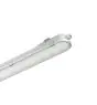 Philips Stagna LED CoreLine WT120C G2 25W 3400lm - 840 Bianco Freddo | 150cm - 3x Cablaggio Entra/Esci