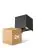 Pacco doppio D'Lite LED Luce Da Parete Elingen Aluminium Nero 4.9W 290lm - 830 Luce Calda -  | Sensore Di Movimento