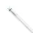 Philips MASTER LED T8 Conventional (EM), Mains (AC) High Output T8 16.7W 3100lm - 865 Luce Del Giorno | 150cm - Sostitutiva 58W