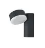 Ledvance LED Luce da parete Endura Stile Spot Il Giro Scuro Grigio 8W - 830