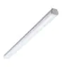 Philips Stagna LED Ledinaire WT060C 30W 3600lm - 840 Bianco Freddo | 120cm