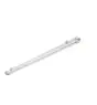 Philips Stagna LED Pacific WT490C 97W 15000lm - 840 Bianco Freddo | 180cm