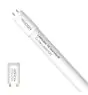 Noxion Tubo LED T8 Avant (EM/Mains) Standard Output 15W 1800lm - 830 Luce Calda - | 120cm - Sostitutiva 36W