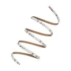 Ledvance Strisce LED Performance 43W 5030lm 24v - 940 Bianco Freddo | 5M/8mm - Miglior Resa Cromatica