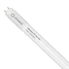 Ledvance Tubo LED T8 Performance (UN) High Output 14W 2100lm - 865 Luce Del Giorno | 120cm - Sostitutiva 36W