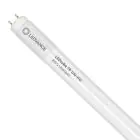 Ledvance Tubo LED T8 Value (UN) High Output 8W 900lm - 840 Bianco Freddo | 60cm - Sostitutiva 18W