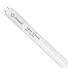 Ledvance Tubo LED T8 Value (UN) High Output 8W 900lm - 865 Luce Del Giorno | 60cm - Sostitutiva 18W